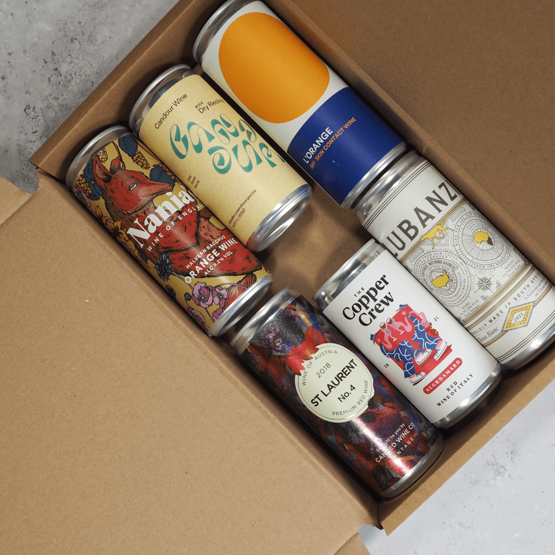 Wine Tasting Kit at Home – Discover 6 Canned Wines