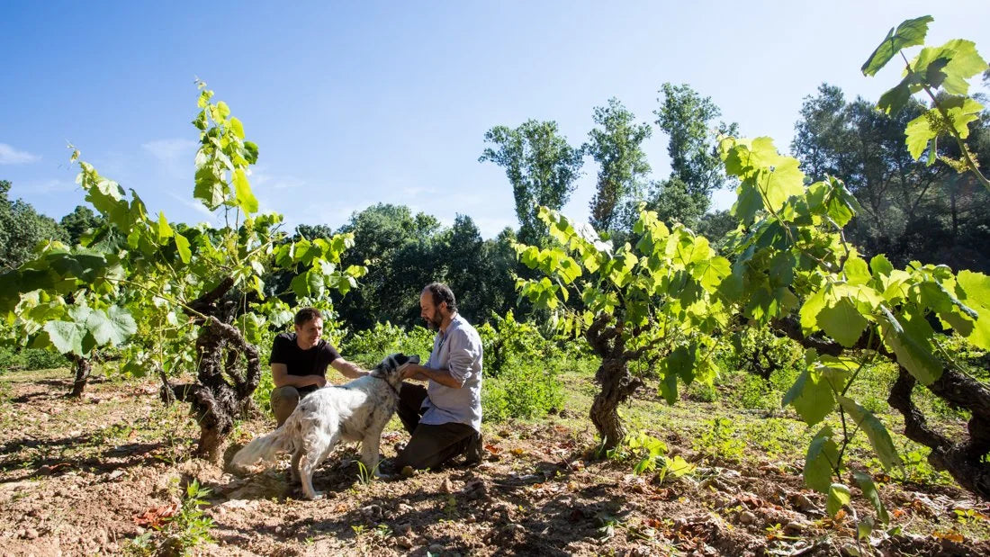 Catalonia’s Els Vinyerons vineyard with natural winemakers Amós Bañeres and Alex Ruiz, partners of Canetta’s organic red and white wines.
