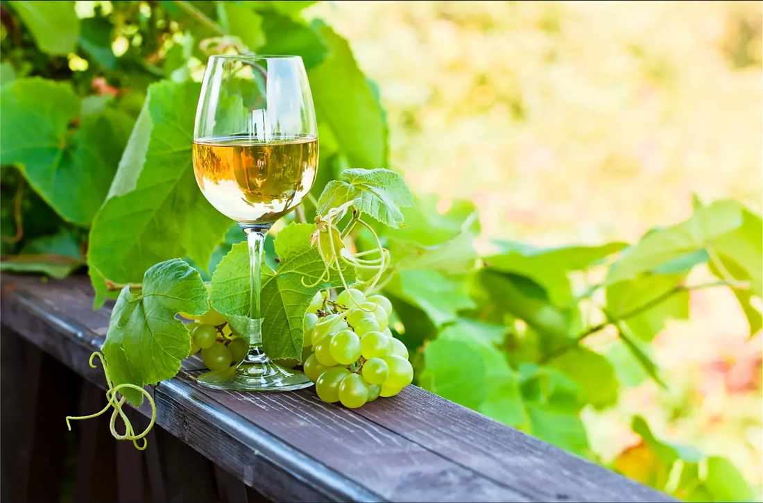Featured image of canned white wine recommendation article