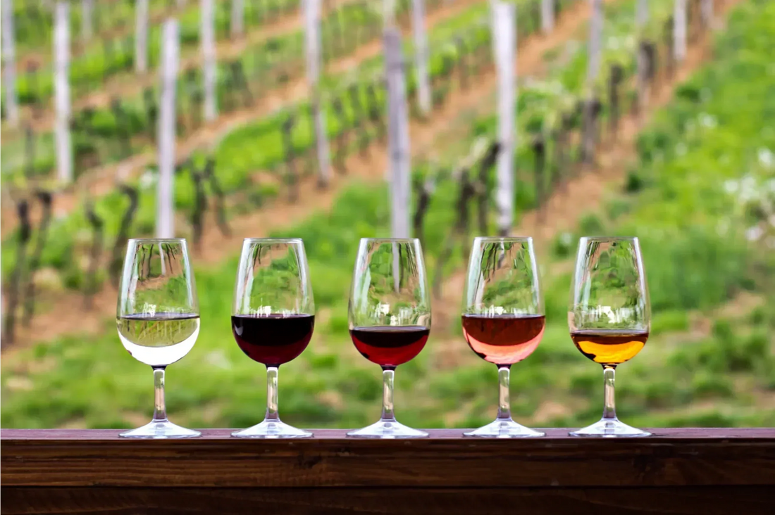 Featured image of canned wine recommendation article