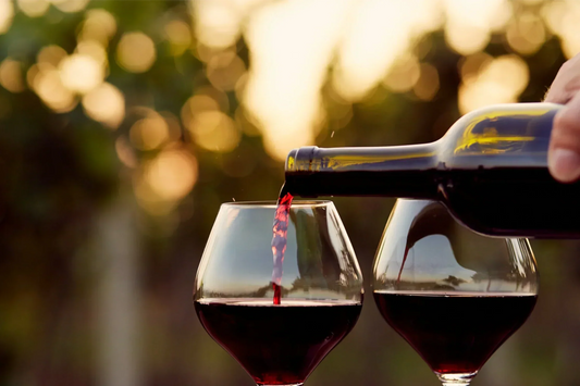 Hand-drawn illustration of low tannin red wine featuring a soft, approachable red wine in a glass and bottle, ideal for wine drinkers who prefer smooth, easy-drinking reds