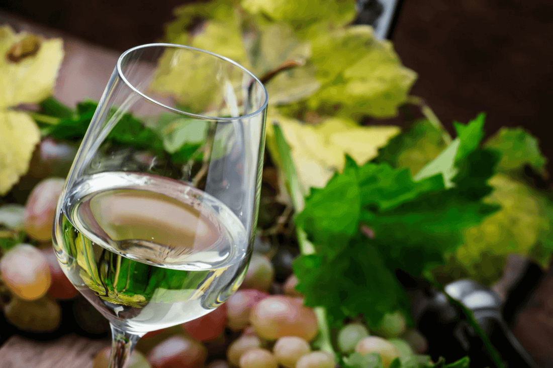 Featured image of what is dry white wine article