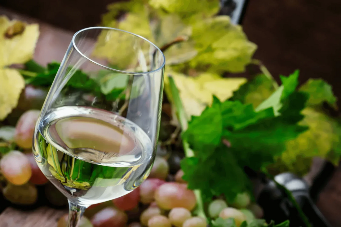 Close-up of a glass of dry white wine with grapes and vine leaves in the background