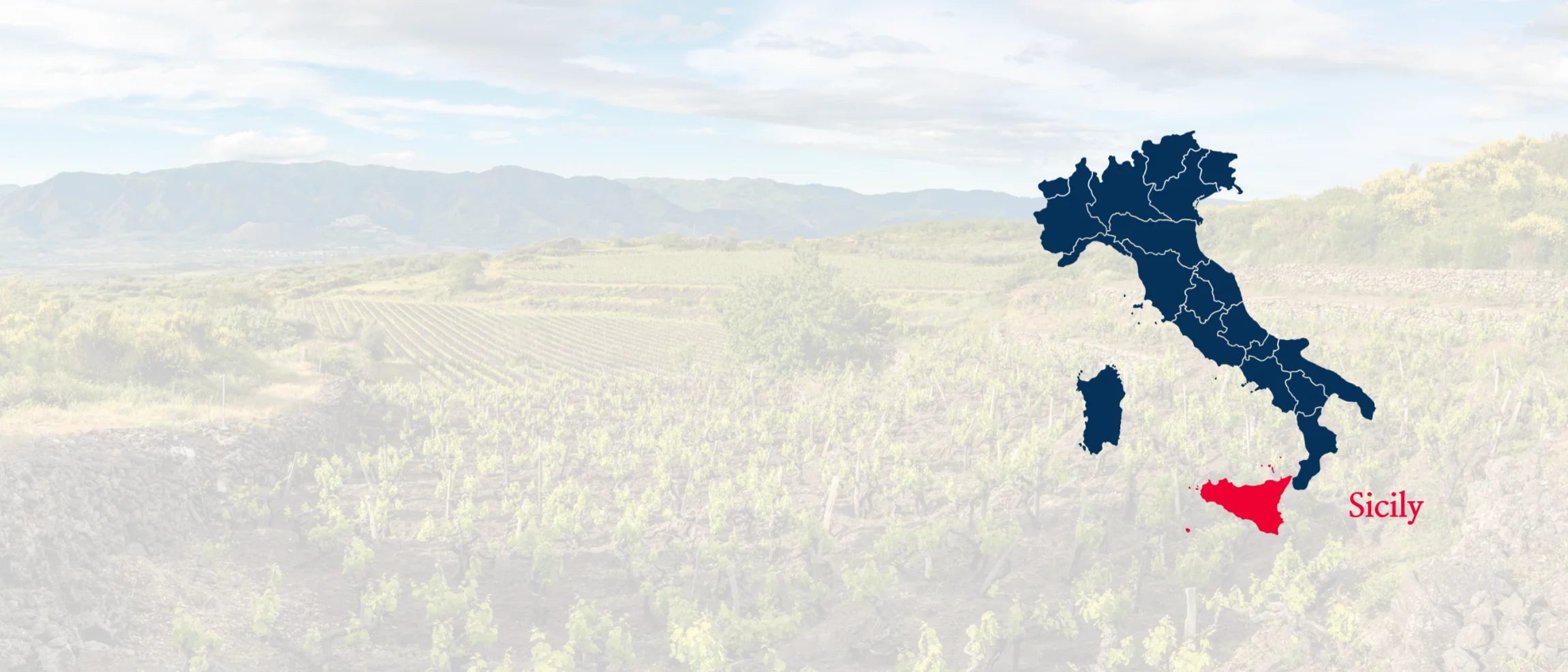 Map of Italy highlighting Sicily, the region where Vinca sources its organic grapes for canned wines