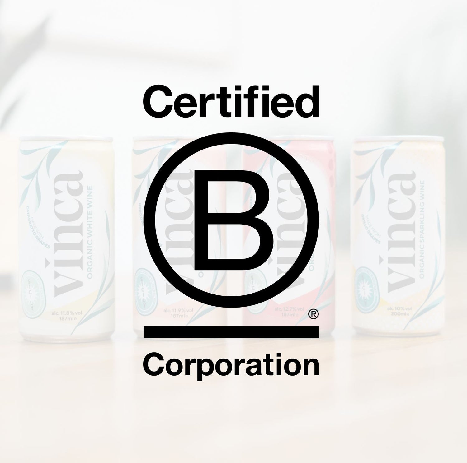Vinca canned wines with Certified B Corporation logo – highlighting award-winning sustainability and eco-friendly winemaking