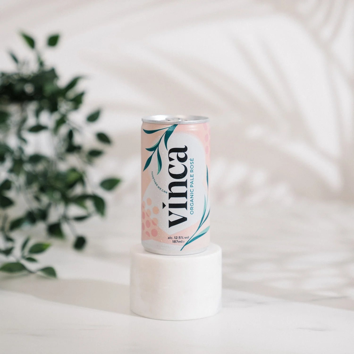 Vinca Organic Pale Rosé canned wine made from Syrah grapes – crisp, dry and refreshing with notes of strawberry and citrus