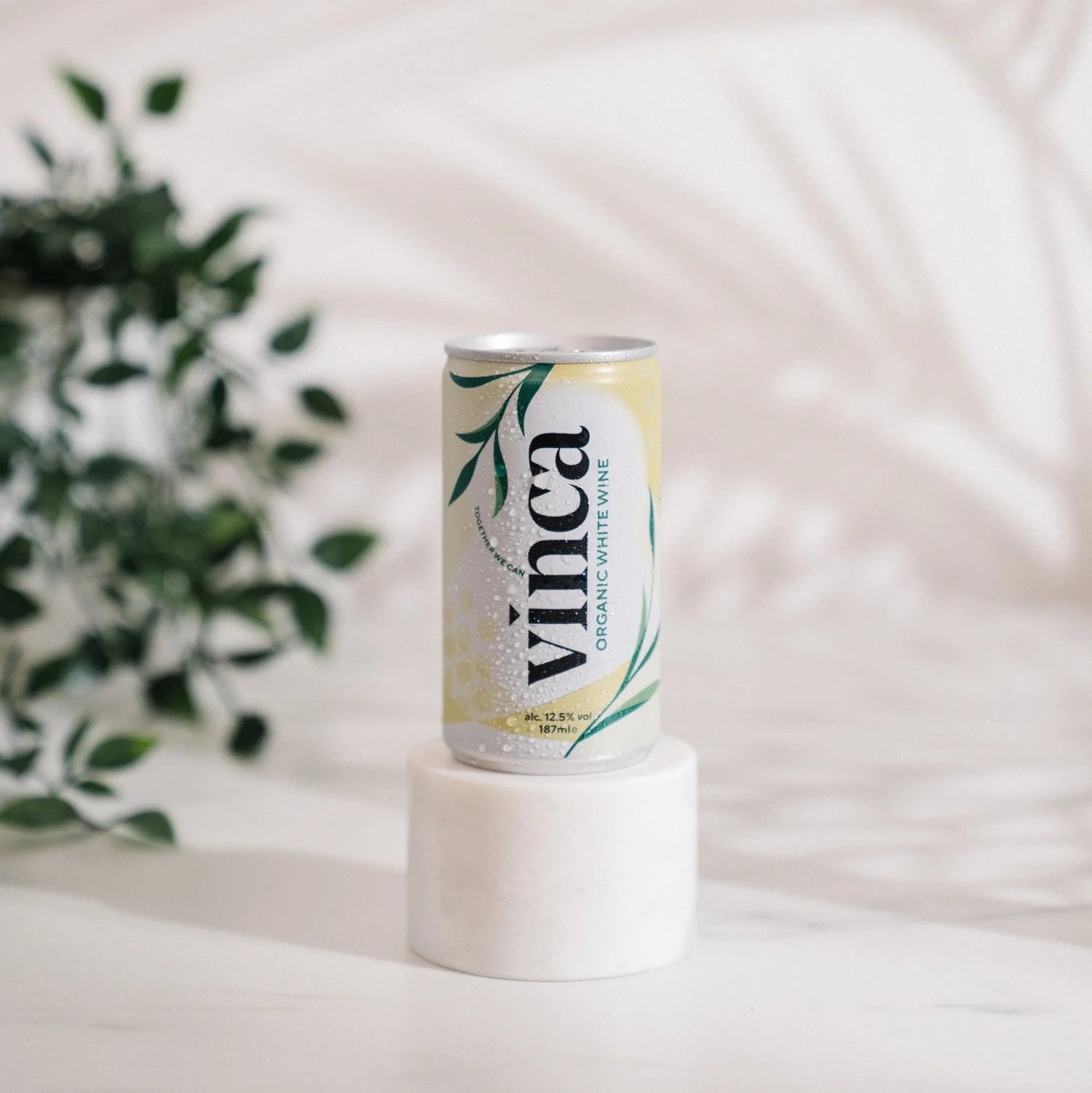 Vinca Organic White Wine canned Catarratto – crisp Sicilian white with tropical pineapple, mango and citrus notes