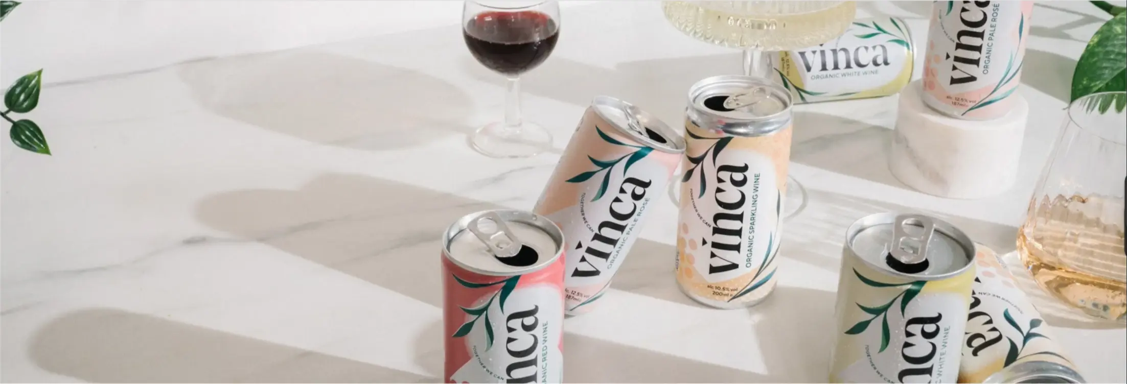 Vinca canned wine collection – Organic Rosé, Red, White and Sparkling wines displayed together